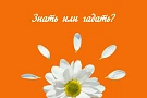 Аттестат налогового консультанта (7 уровень) – онлайн-презентация программы 21 ноября